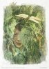 Seria - Herbalist - Zielarka*Series - Herbalist*Serie - Kräutermedizin*Serie - Hierbas